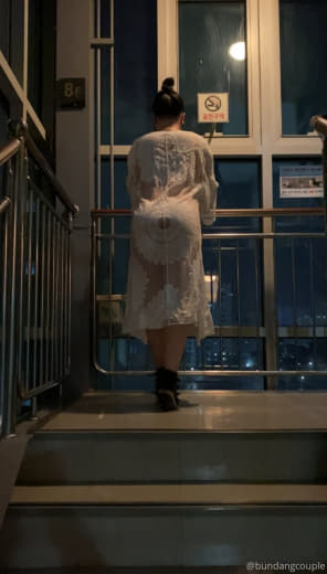 奶牛1